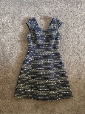 Lilly Pulitzer Navy and Silver Striped V-Neck Fit-and-Flare Mini Dress